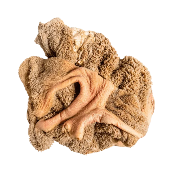 TRIPE-DE-BOEUF Tripe de bœuf (carton nettoyé )