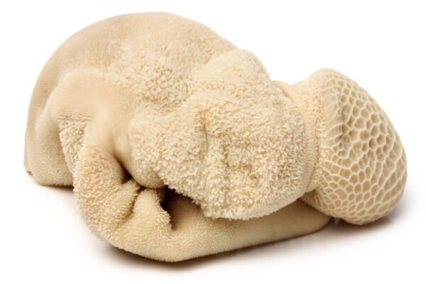 mouton tripes Tripe de bœuf carton (non nettoyé )