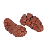 Rognon de bœuf ( carton)