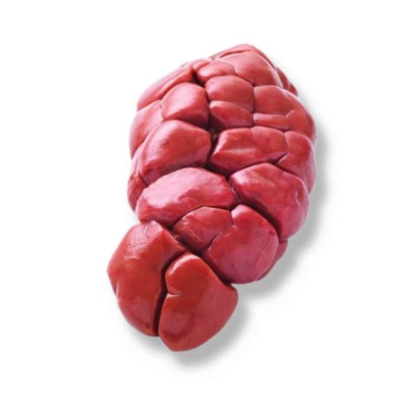 Rognon de boeuf ( details / kilogramme )