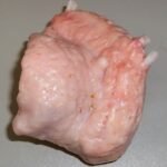 Croupion de dinde (carton)